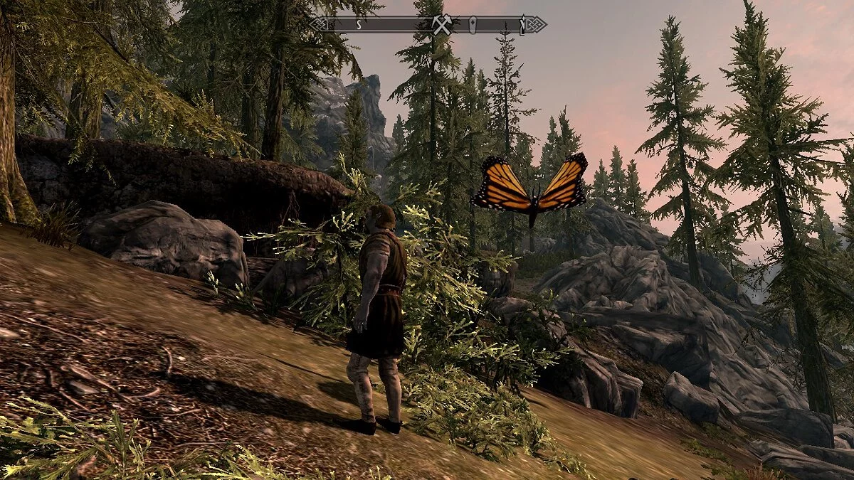 The Elder Scrolls 5: Skyrim Legendary Edition — Big butterflies