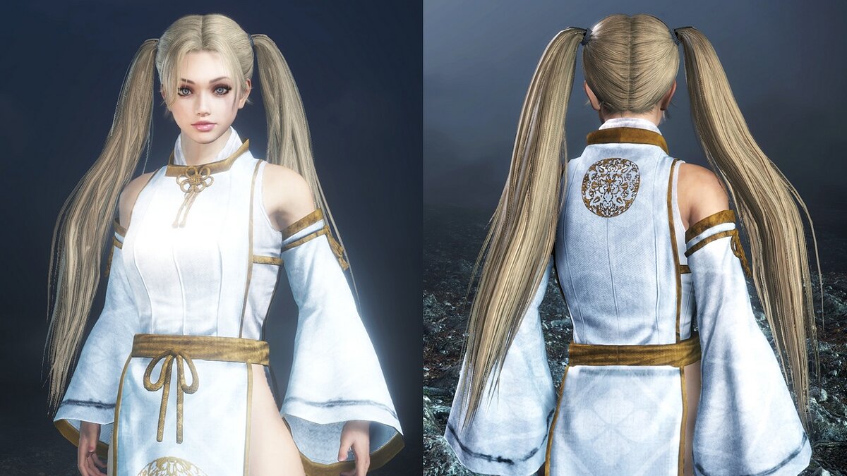 Nioh 2: Complete Edition — Long hair with two tails