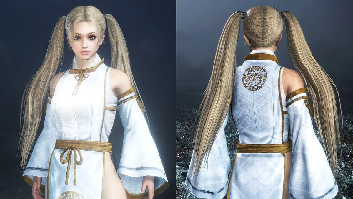 Nioh 2: Complete Edition — Long hair with two tails