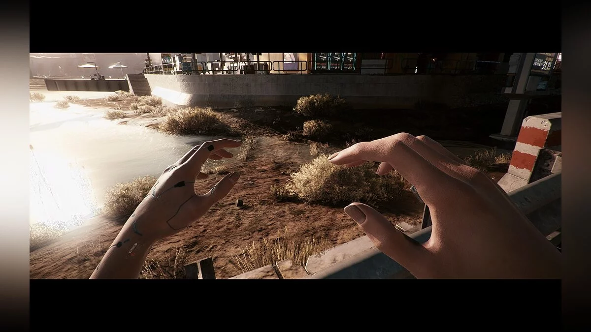 Cyberpunk 2077 — Естественный реализм