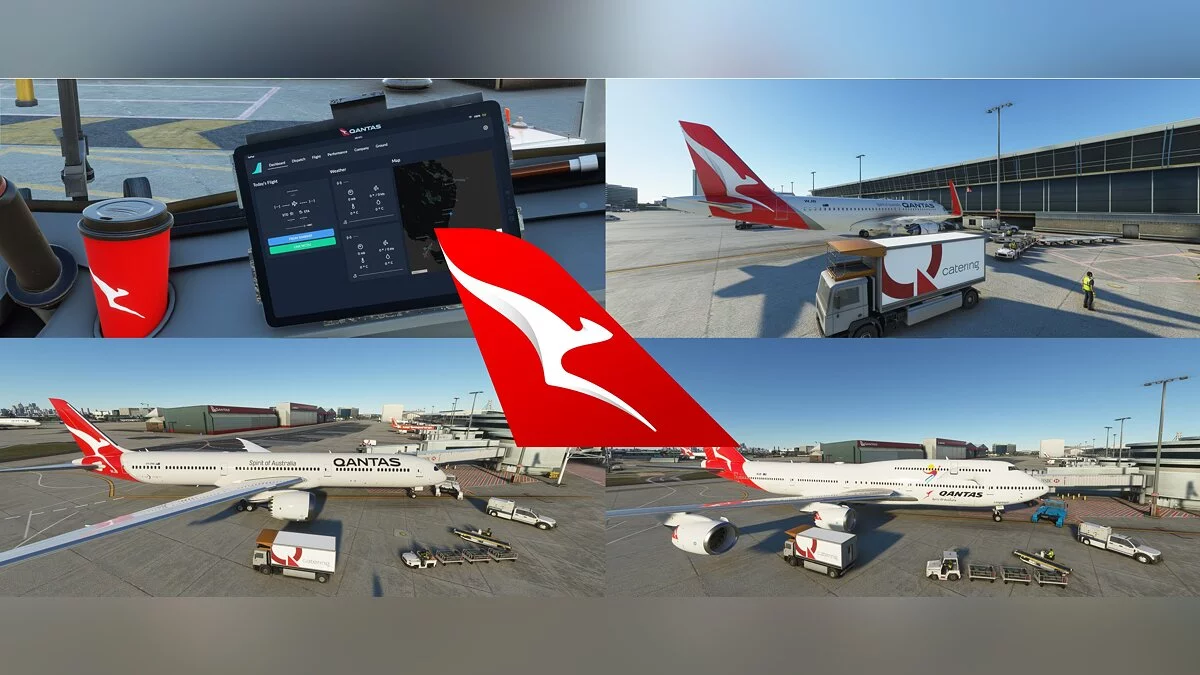 Microsoft Flight Simulator — Qantas logo