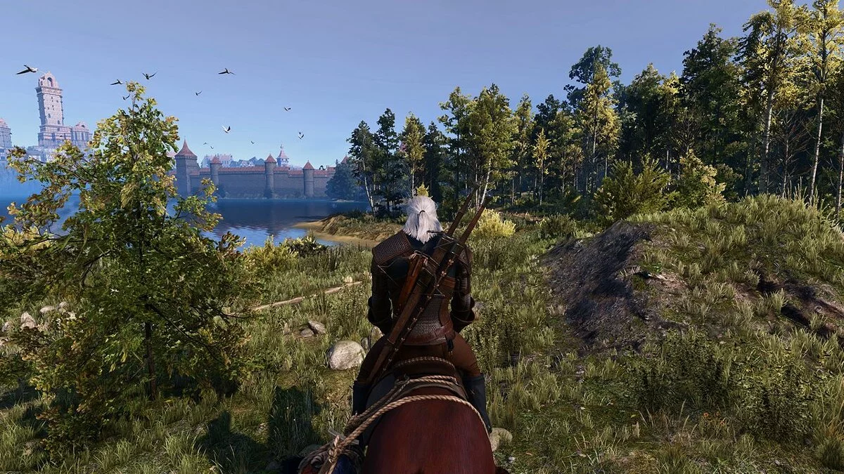 The Witcher 3: Wild Hunt - Complete Edition — Реалистичное изменение цвета