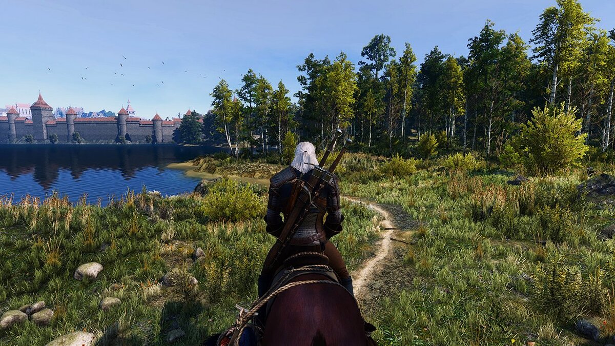 The Witcher 3: Wild Hunt - Complete Edition — Realistic color change