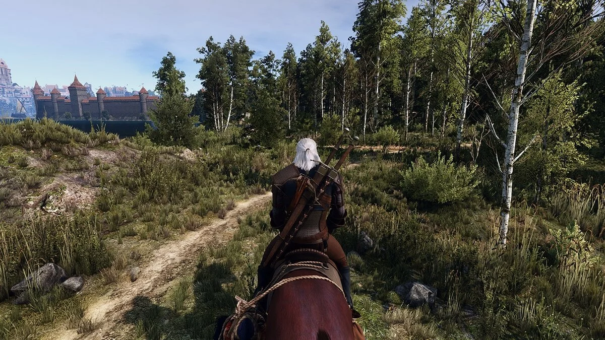 The Witcher 3: Wild Hunt - Complete Edition — Реалистичное изменение цвета