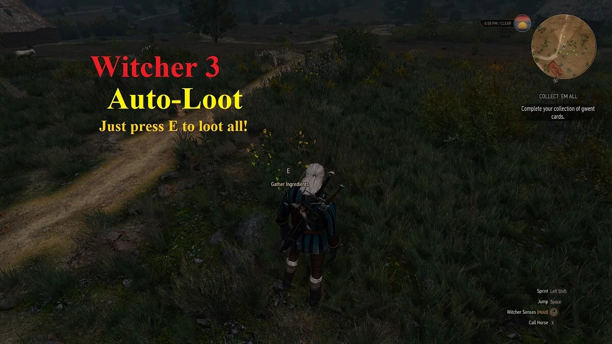 The Witcher 3: Wild Hunt — Autoloot