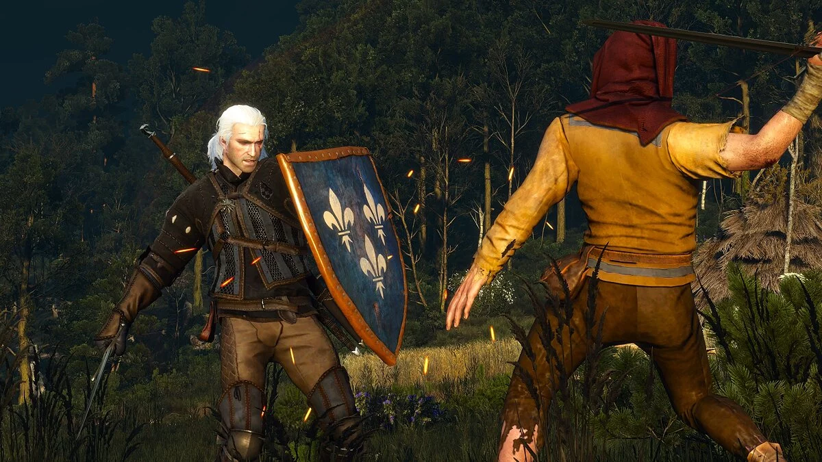 The Witcher 3: Wild Hunt — Escudos