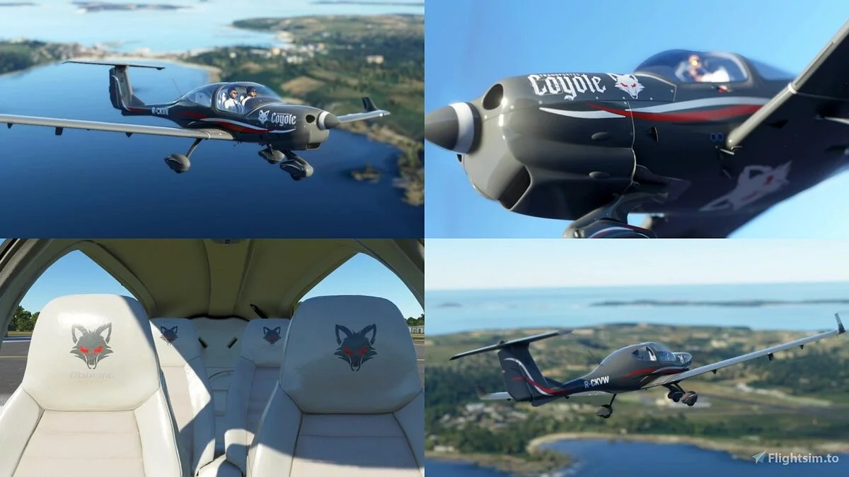 Microsoft Flight Simulator — Набір розмальовок Skypark - стандартне видання