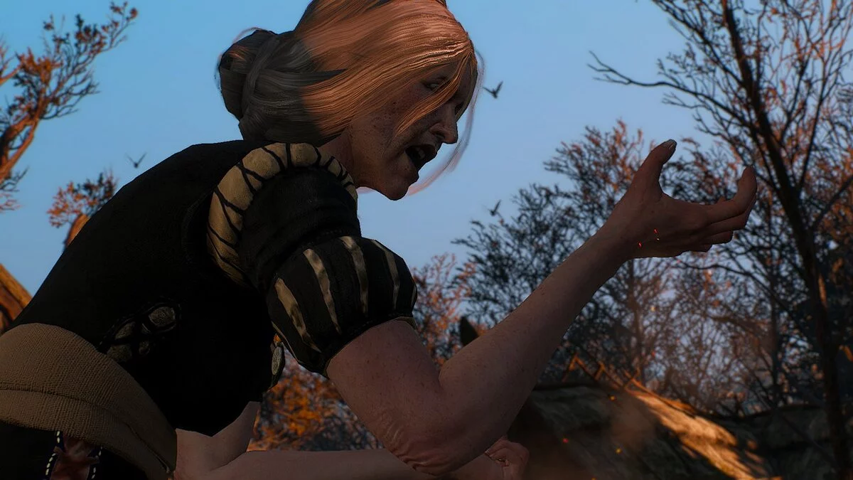 The Witcher 3: Wild Hunt - Complete Edition — Улучшенная Анна Стренджер