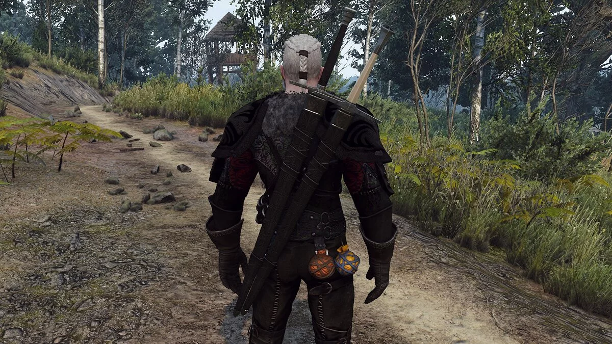 The Witcher 3: Wild Hunt - Complete Edition — Серебро и сталь