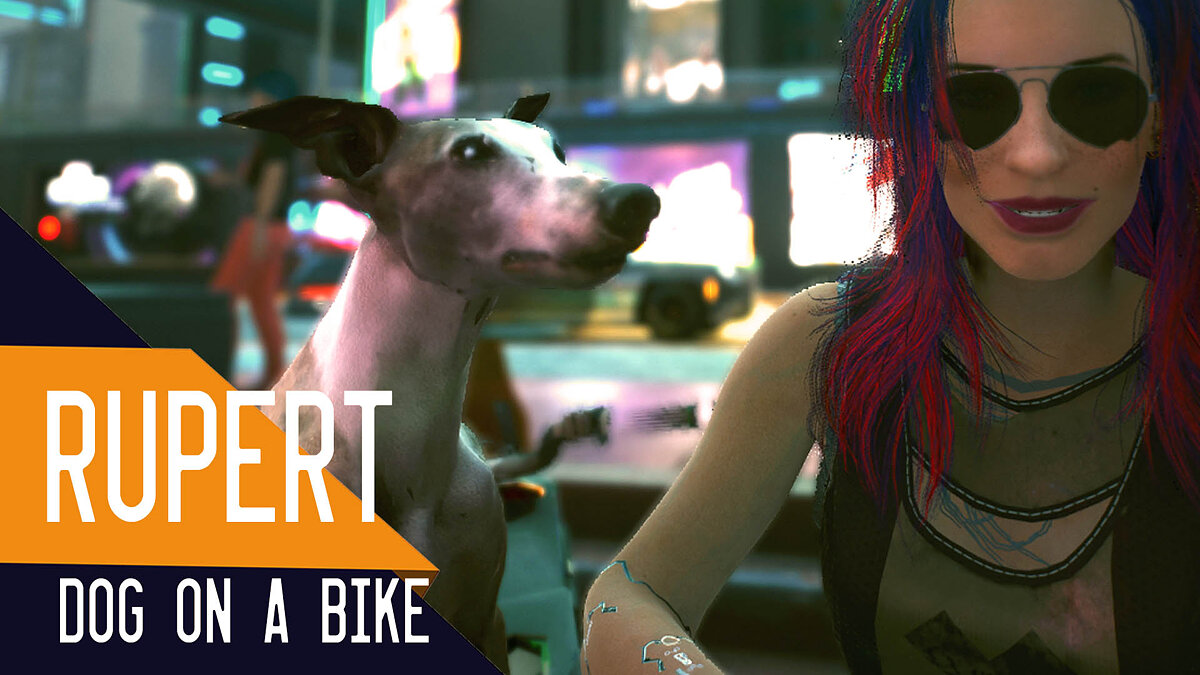 Cyberpunk 2077 — Dog Rupert