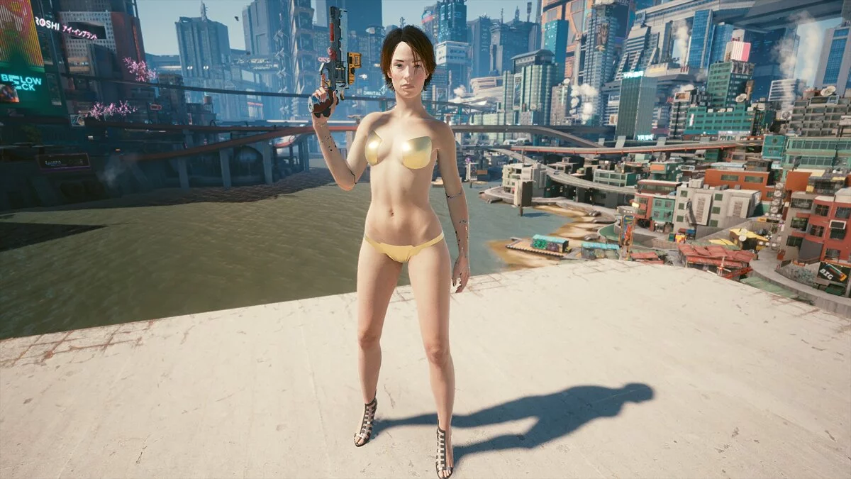 Cyberpunk 2077 — Трусики та бюстгальтери всіх кольорів