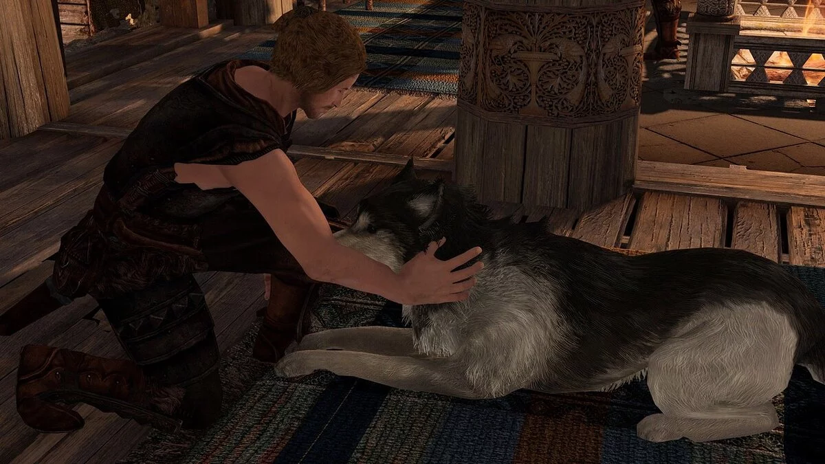 Elder Scrolls 5: Skyrim Special Edition — Возможность погладить собаку