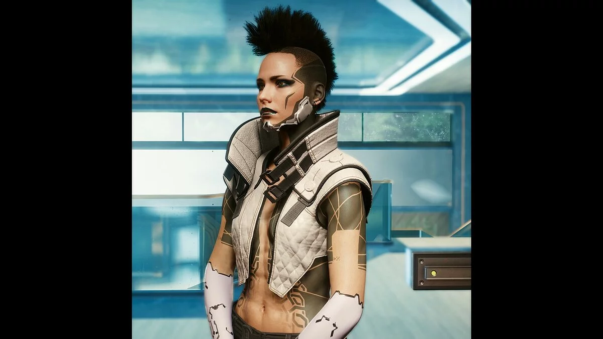 Cyberpunk 2077 — Жилети з високим коміром