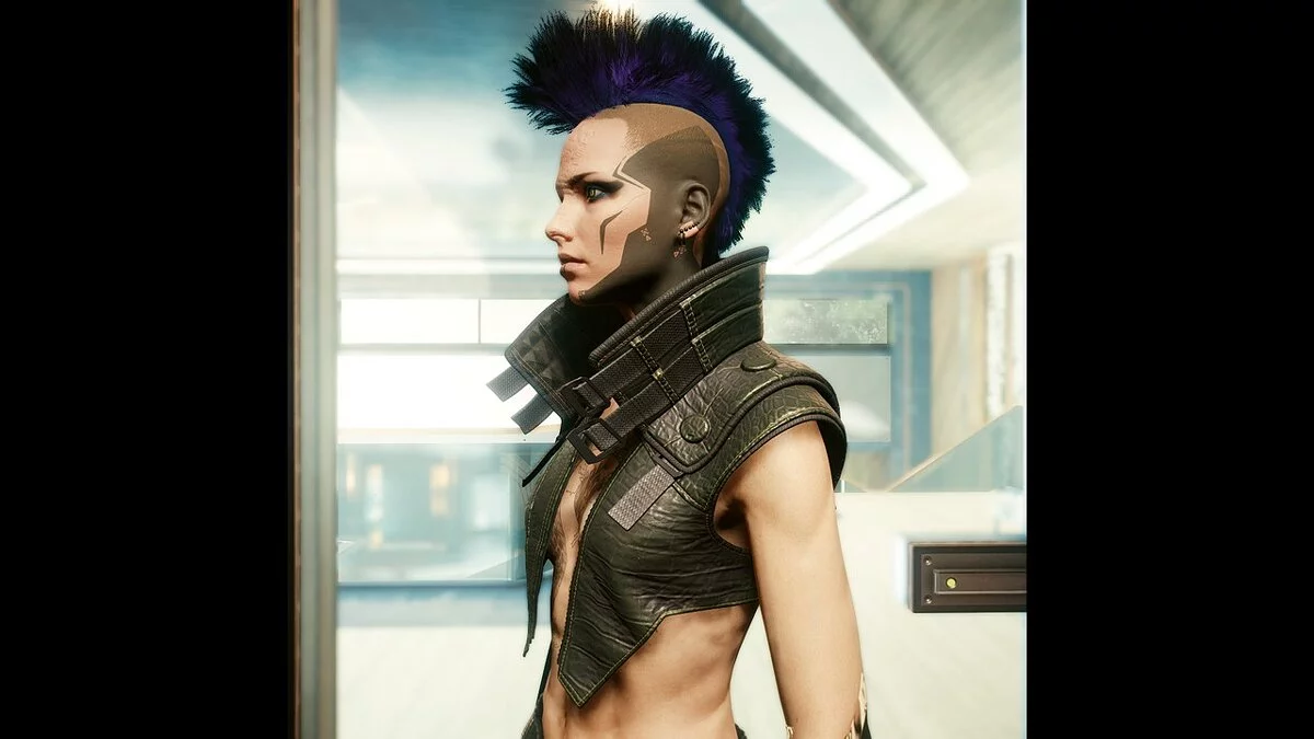 Cyberpunk 2077 — Жилети з високим коміром