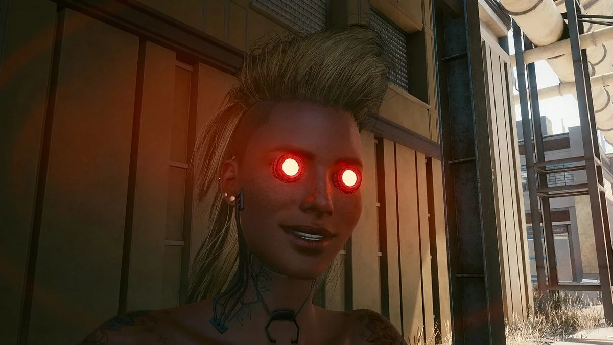 Cyberpunk 2077 — Кіберпрограми для особи