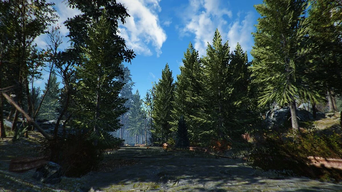 Fallout 4: Game of the Year Edition — Поліпшення ландшафту