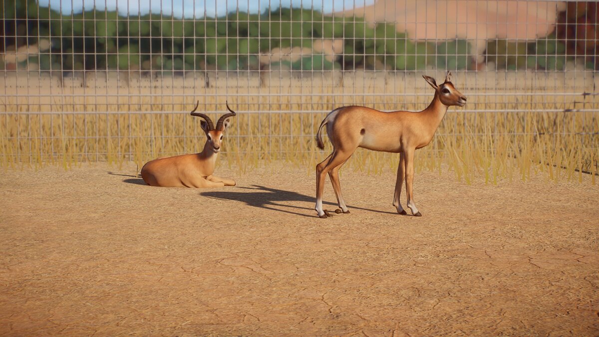 Planet Zoo — Impala - new species