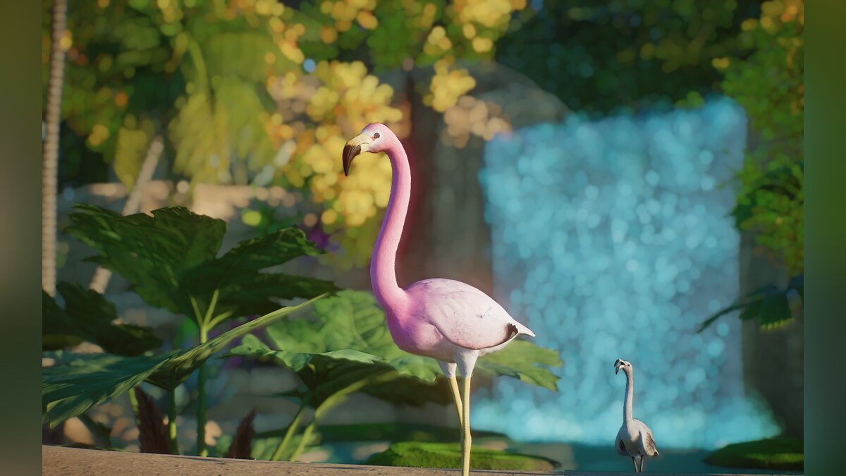 Planet Zoo — New species - Andean flamingo