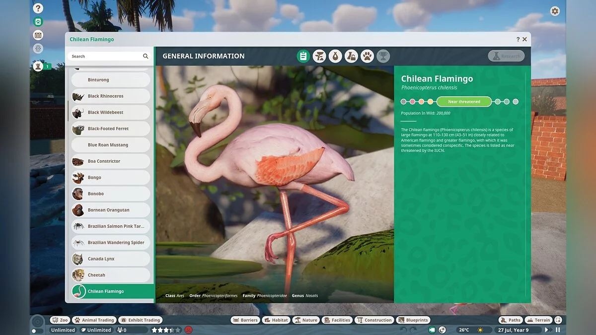 Planet Zoo — Новый вид - чилийский фламинго