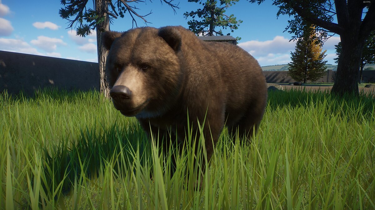 Planet Zoo — Superior Grizzly