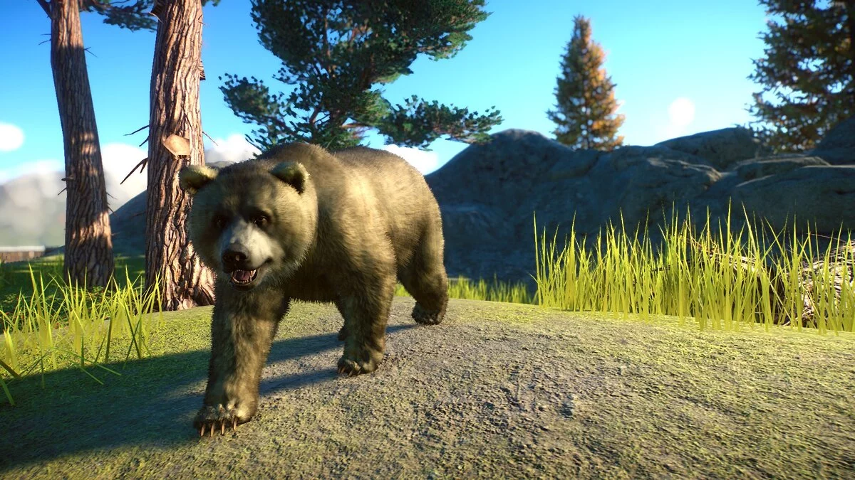 Planet Zoo — Reconstruction of a Himalayan brown bear