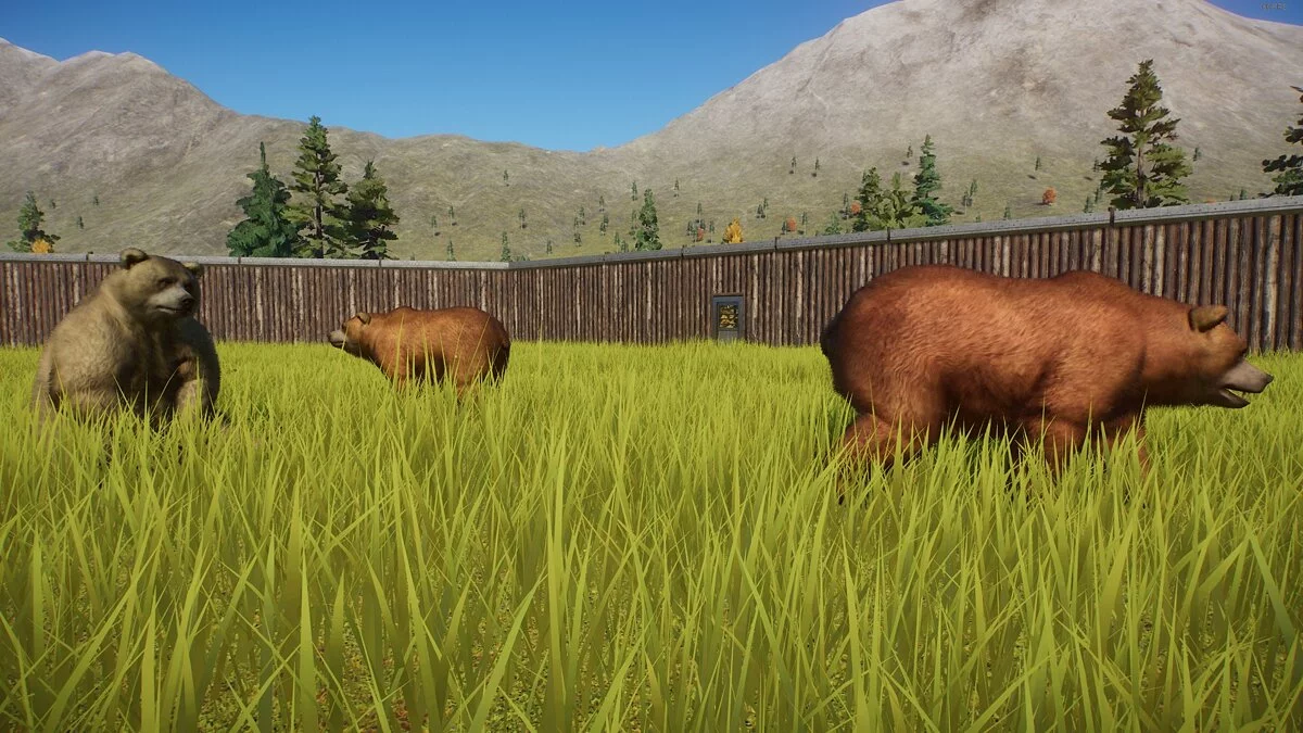 Planet Zoo — Реконструкция гималайского бурого медведя