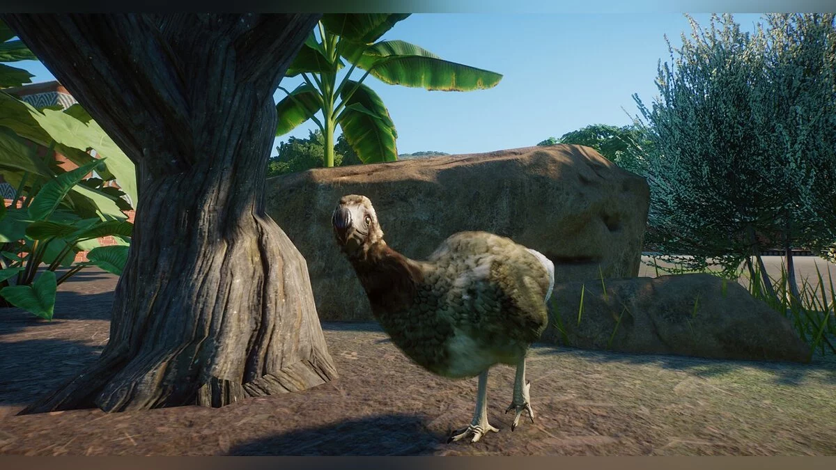 Planet Zoo — Новий вид - сірий маврикійський додо
