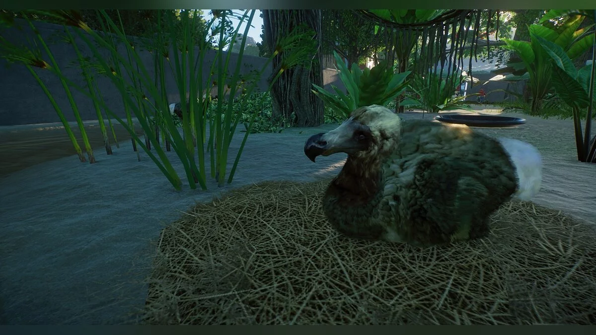 Planet Zoo — Новий вид - сірий маврикійський додо