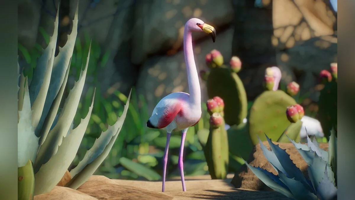 Planet Zoo — Нові види – фламінго Джеймса