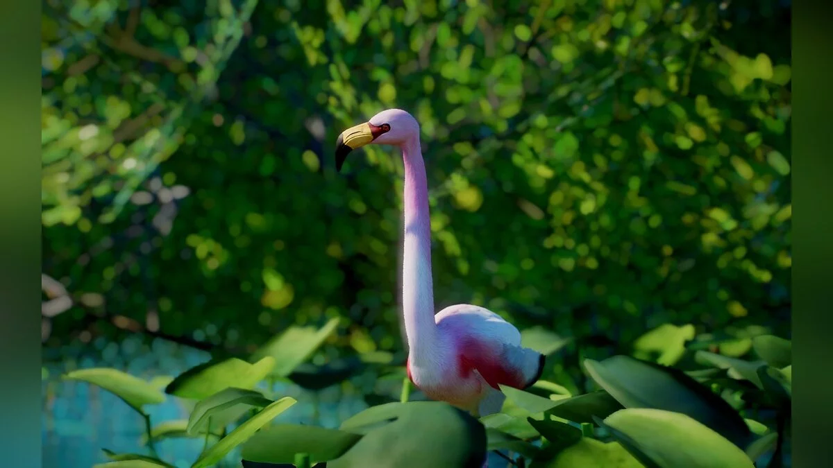 Planet Zoo — New species - James's flamingo