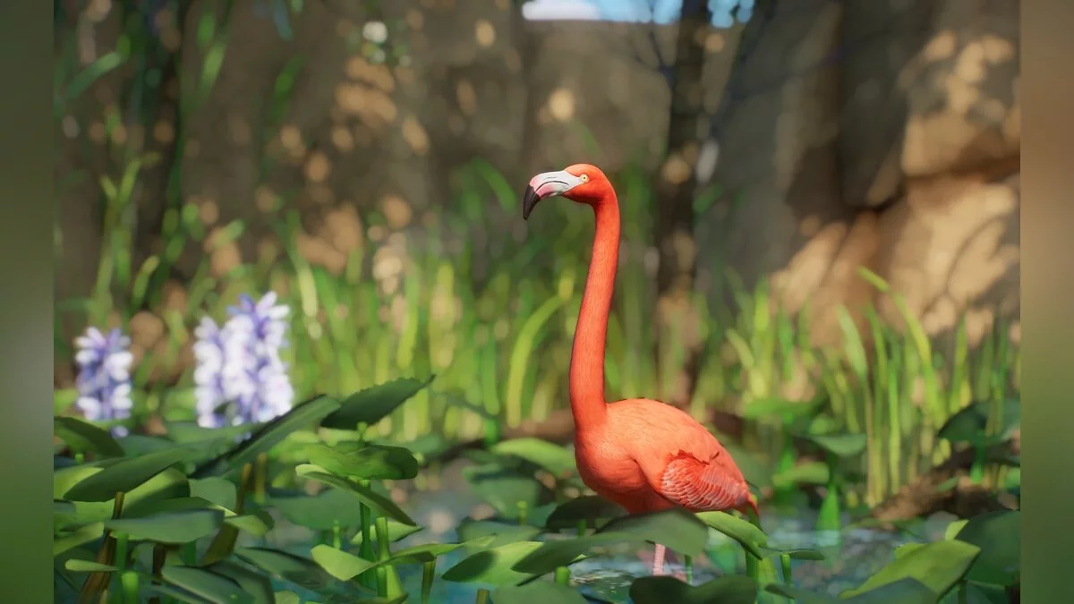 Planet Zoo — New species - American flamingo