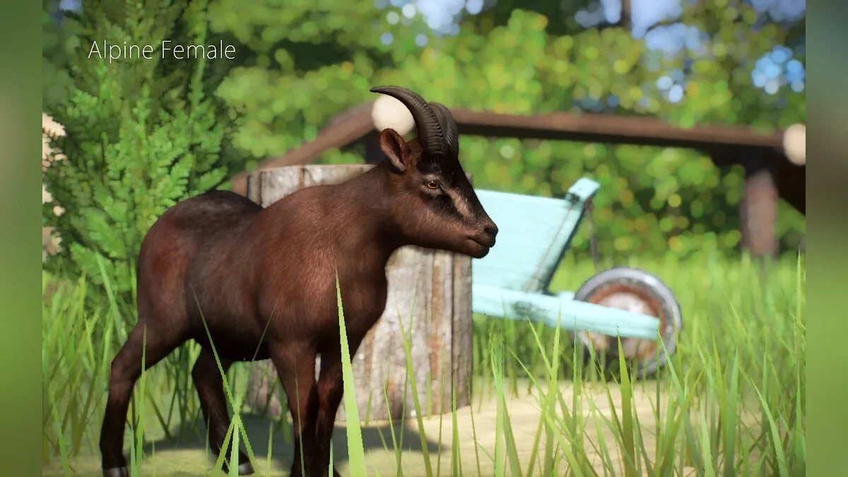 Planet Zoo — Новый вид - Альпийская коза