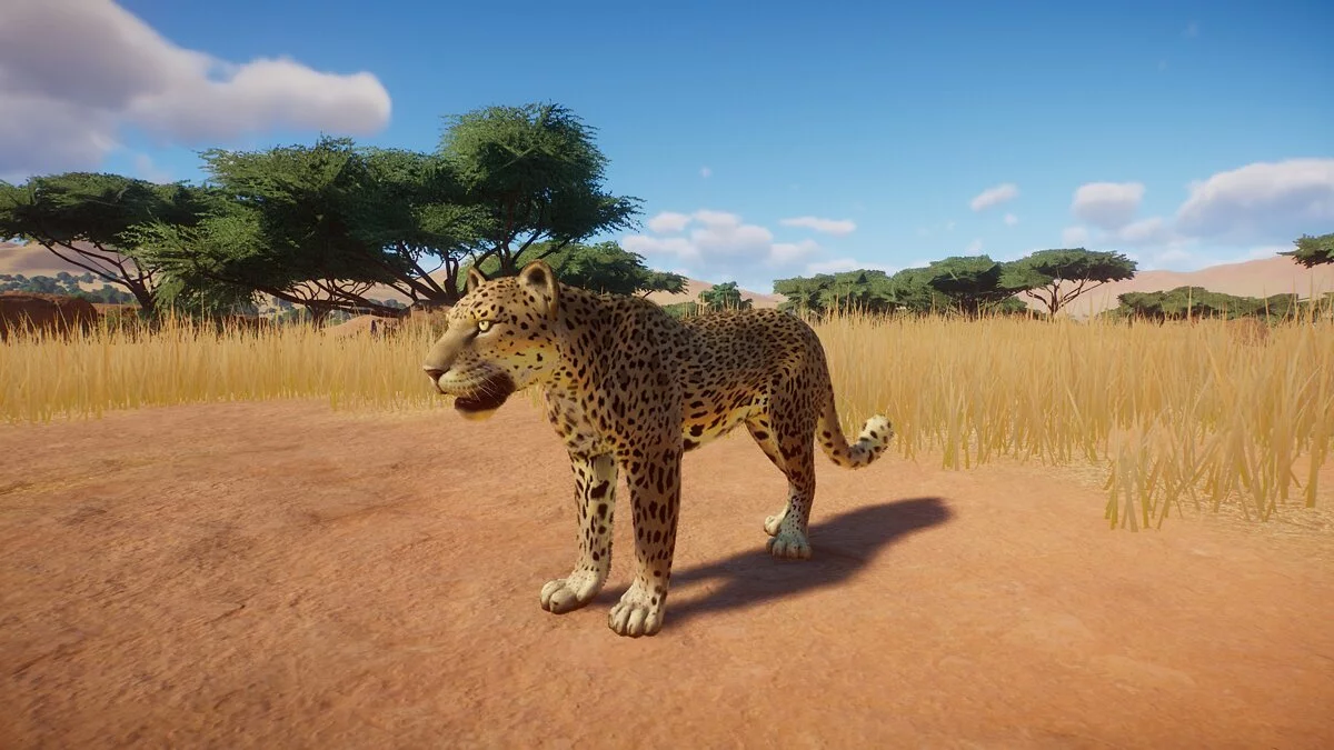 Planet Zoo — Leopardo africano: una nueva especie