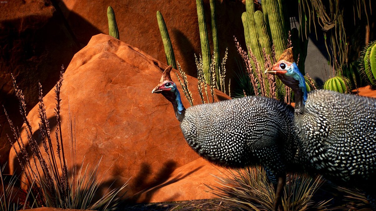 Planet Zoo — New species - guinea fowl Reikhenova in a helmet