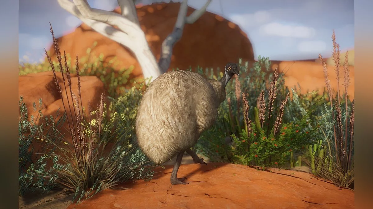 Planet Zoo — New species - Emu