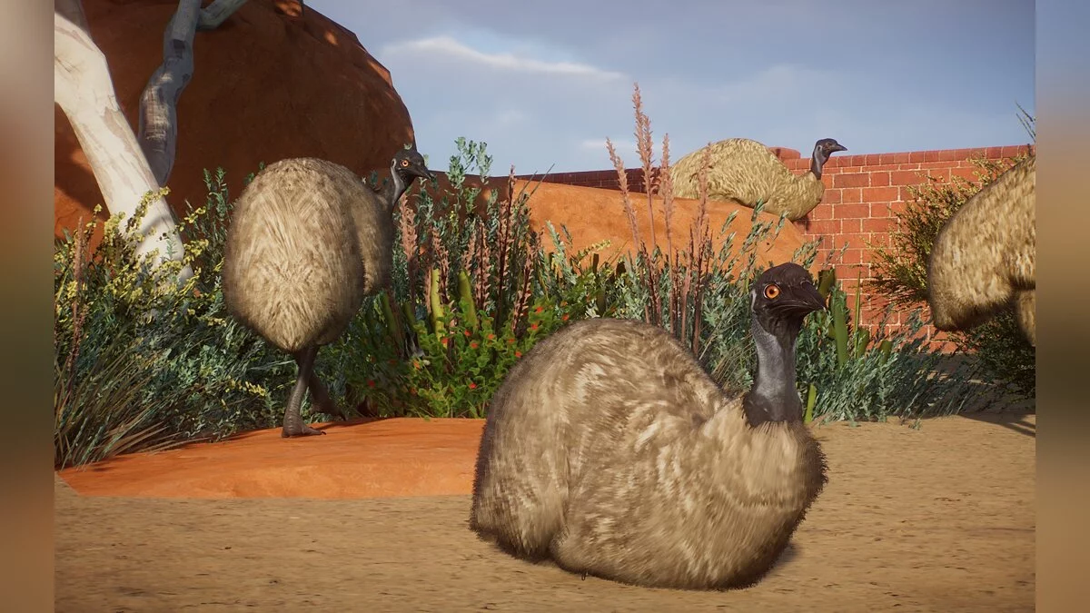 Planet Zoo — Nova vrsta - Emu