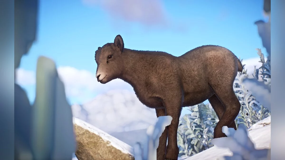 Planet Zoo — Новий вид - сніжний баран