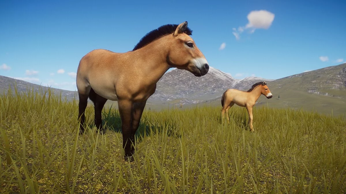 Planet Zoo — Remake of Przewalski's horse