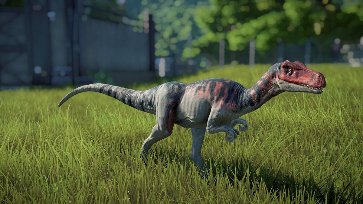 Jurassic World Evolution — Coelurus fragilis (new species)