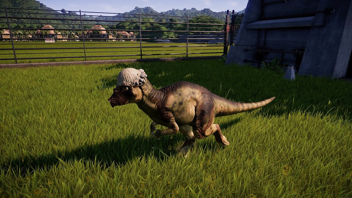 Jurassic World Evolution — New image of Pachycephalosaurus