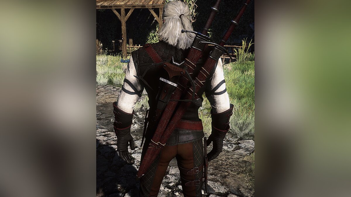 The Witcher 3: Wild Hunt - Complete Edition — Manticore armor retexture