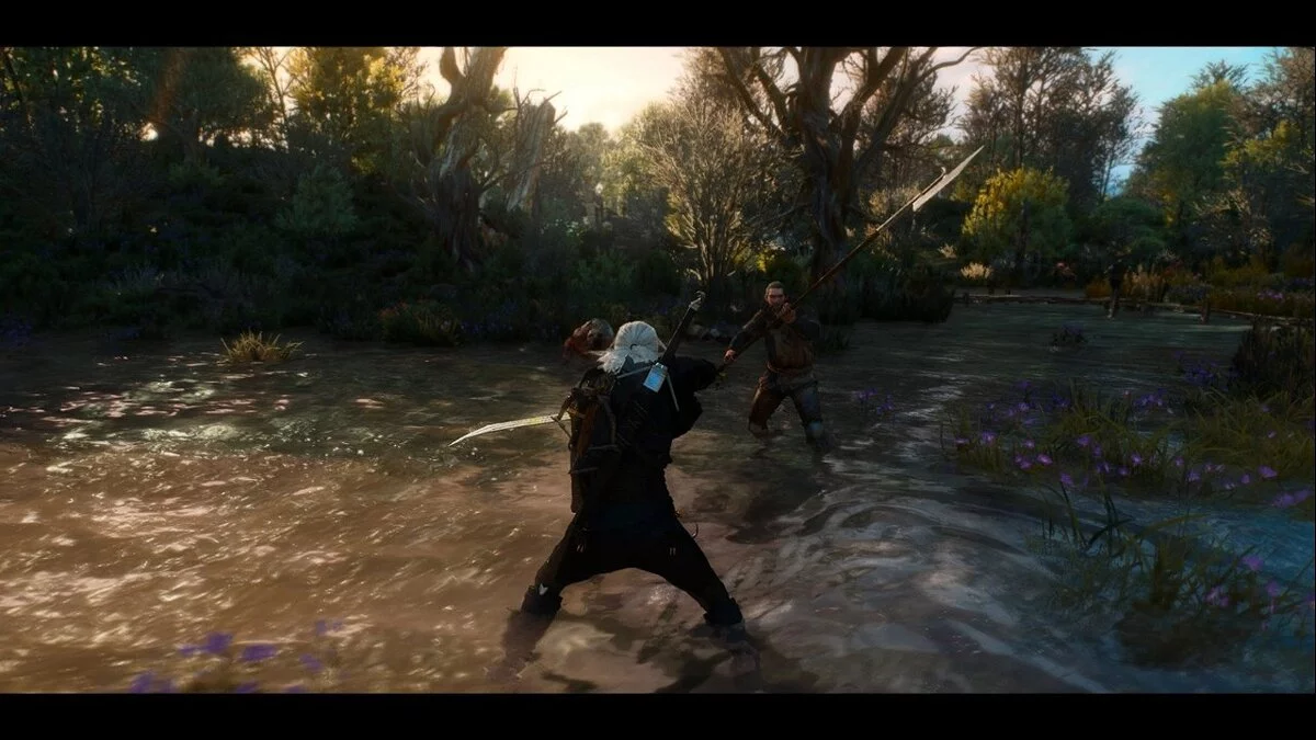 The Witcher 3: Wild Hunt - Complete Edition — Colores realistas