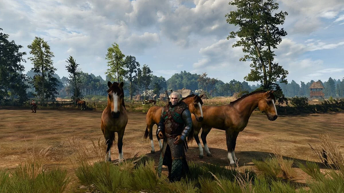 The Witcher 3: Wild Hunt - Complete Edition — Cucaracha mejorada