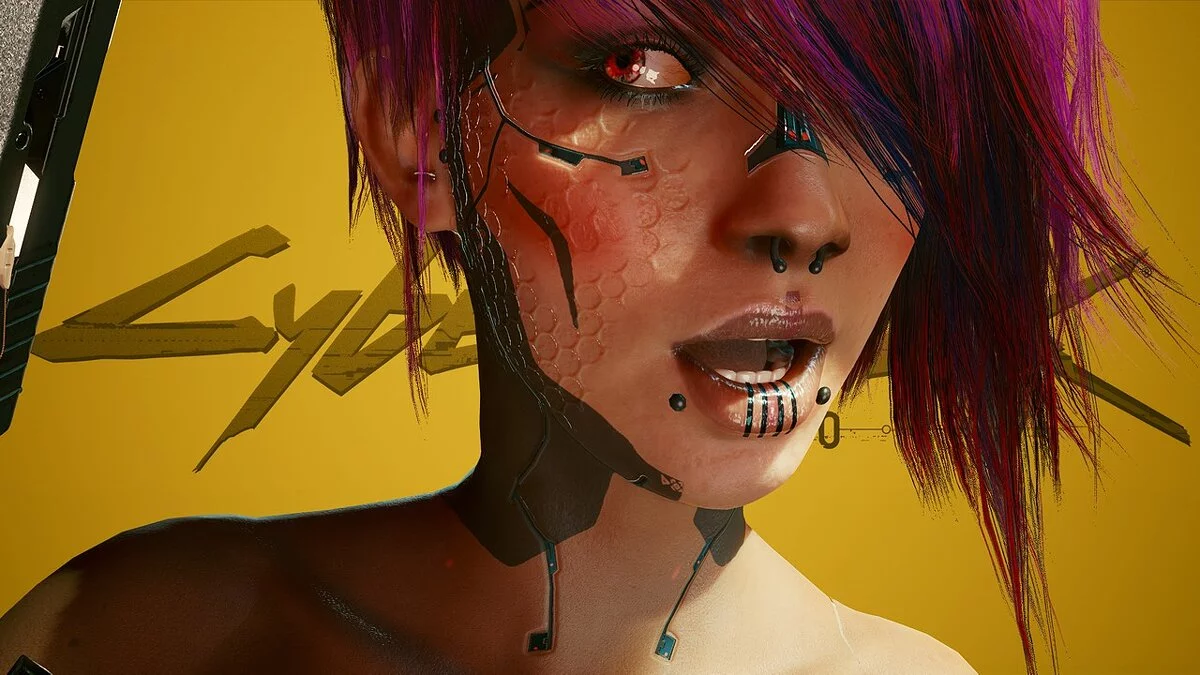 Cyberpunk 2077 — Scar collection