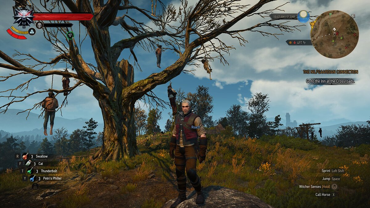 The Witcher 3: Wild Hunt - Complete Edition — All points of interest are completed