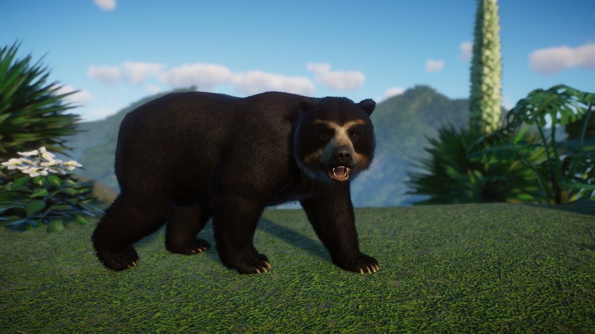 Planet Zoo — Spectacled bear