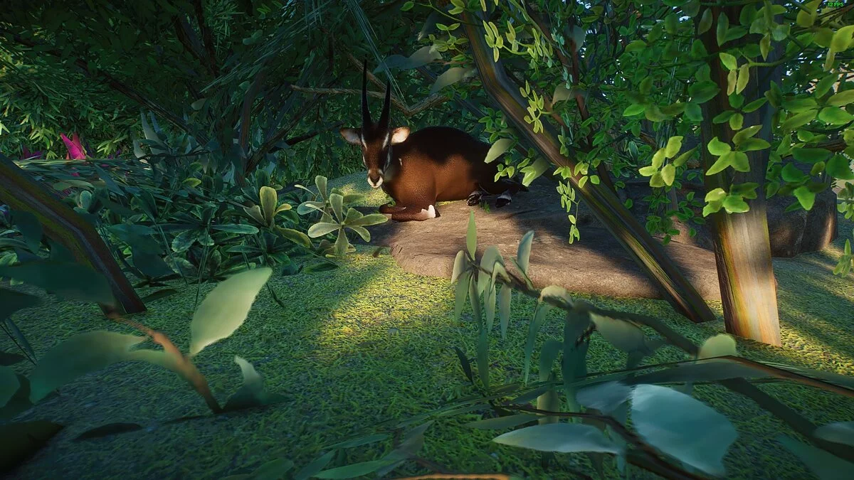 Planet Zoo — Саола