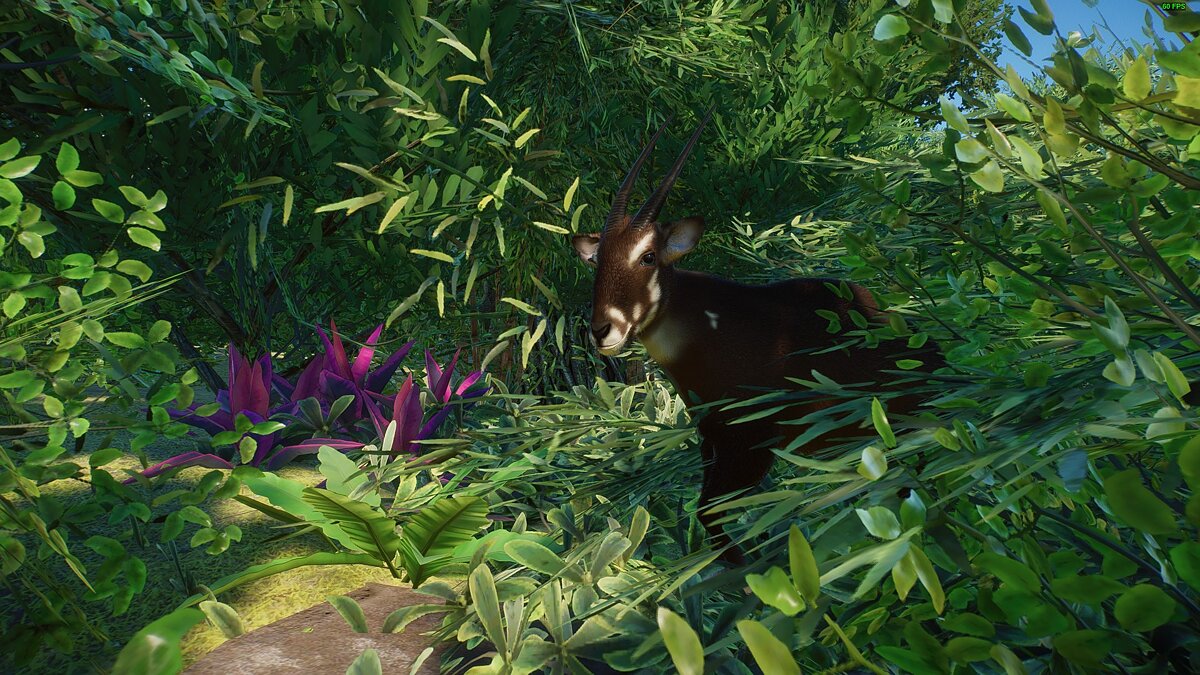 Planet Zoo — Saola