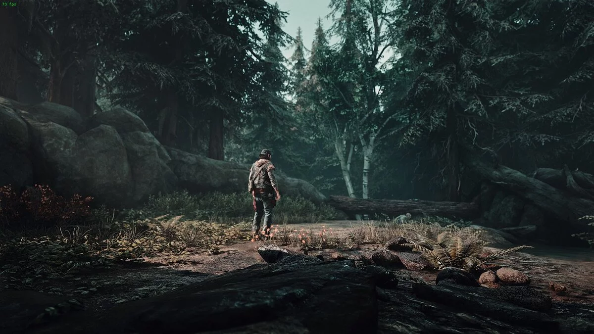 Days Gone — Поліпшення візуальних ефектів