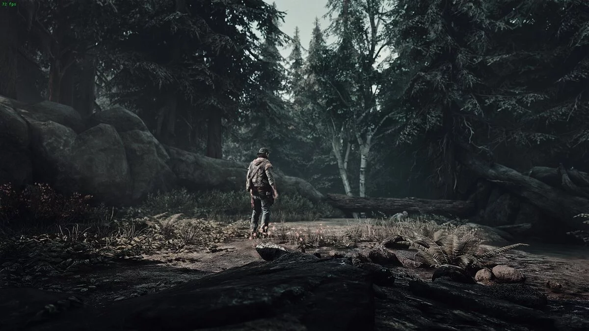 Days Gone — Поліпшення візуальних ефектів